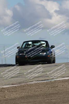 media/Mar-31-2024-Speed Ventures (Sun) [[a3b2bf813d]]/Purple/Session 2 (Grapevine)/